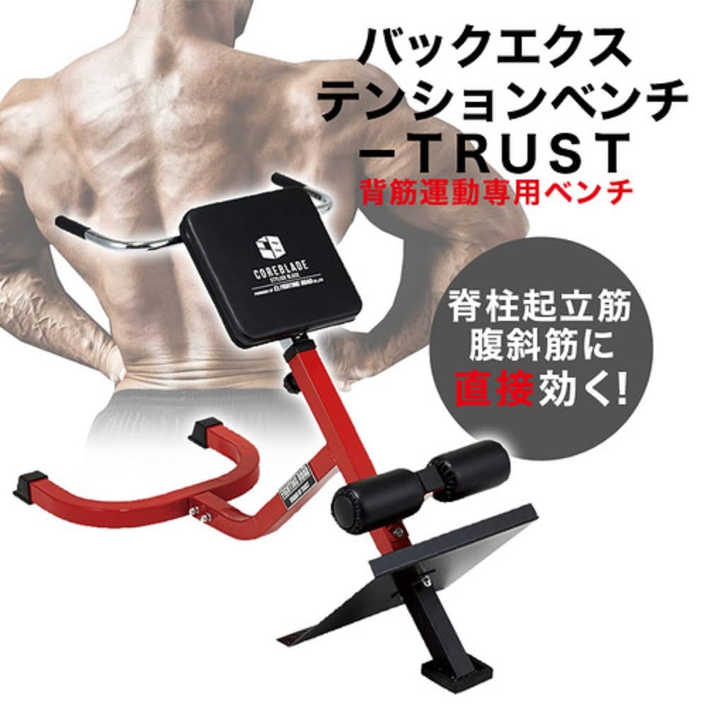 Amazon.co.jp: ファイティングロード バックエクステンションベンチ
